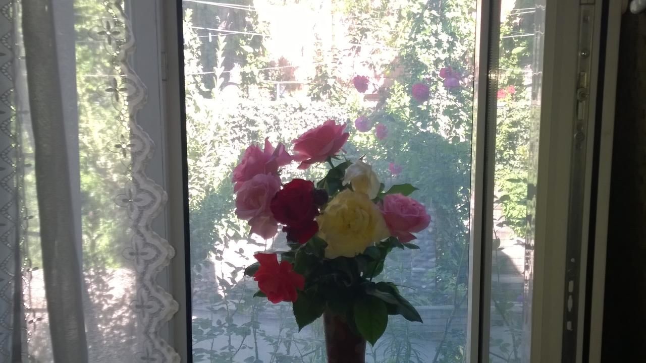 Гостевой дом Guest House Edem Тбилиси-34