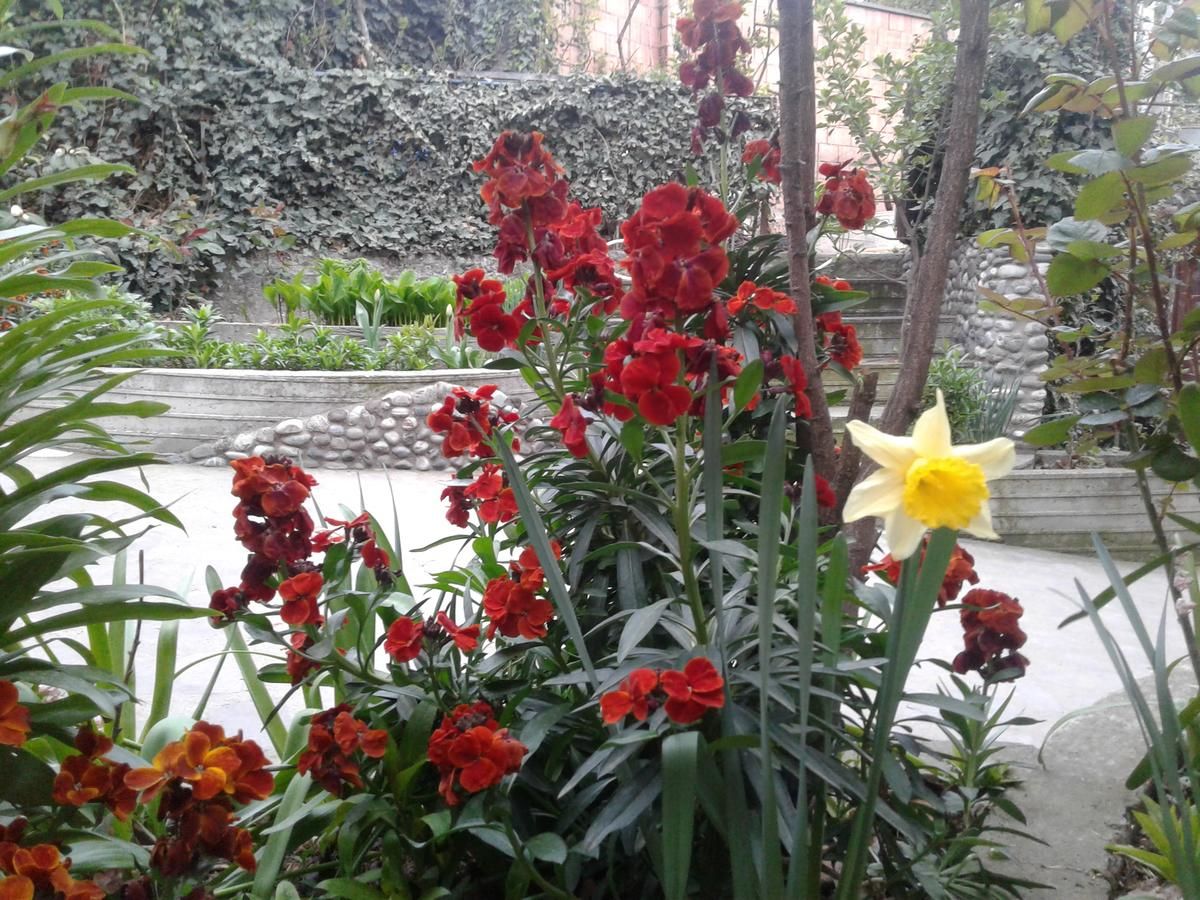 Гостевой дом Guest House Edem Тбилиси-36