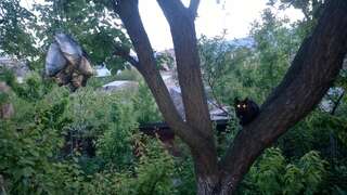 Гостевой дом Guest House Edem Тбилиси Двухместный номер с 2 отдельными кроватями и ванной комнатой-9